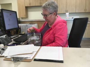 Cover photo for Got Gardening Questions? Extension Master Gardener Volunteers Can Help!