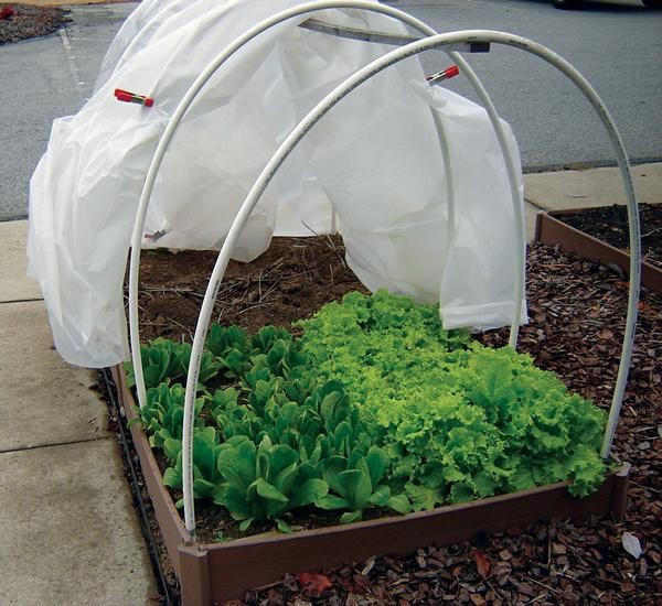 Covered Raised Bed