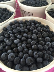 Blueberries at Farm Credit Farmers Market