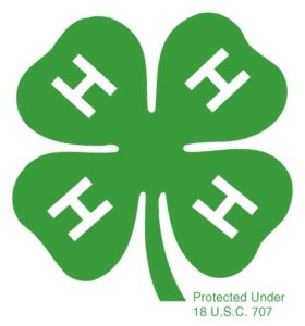 Cover photo for 4-H Summer Camp Opportunities