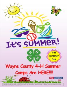 Cover photo for It's Summer! Wayne County 4-H Online Summer Camps Are HERE!!!