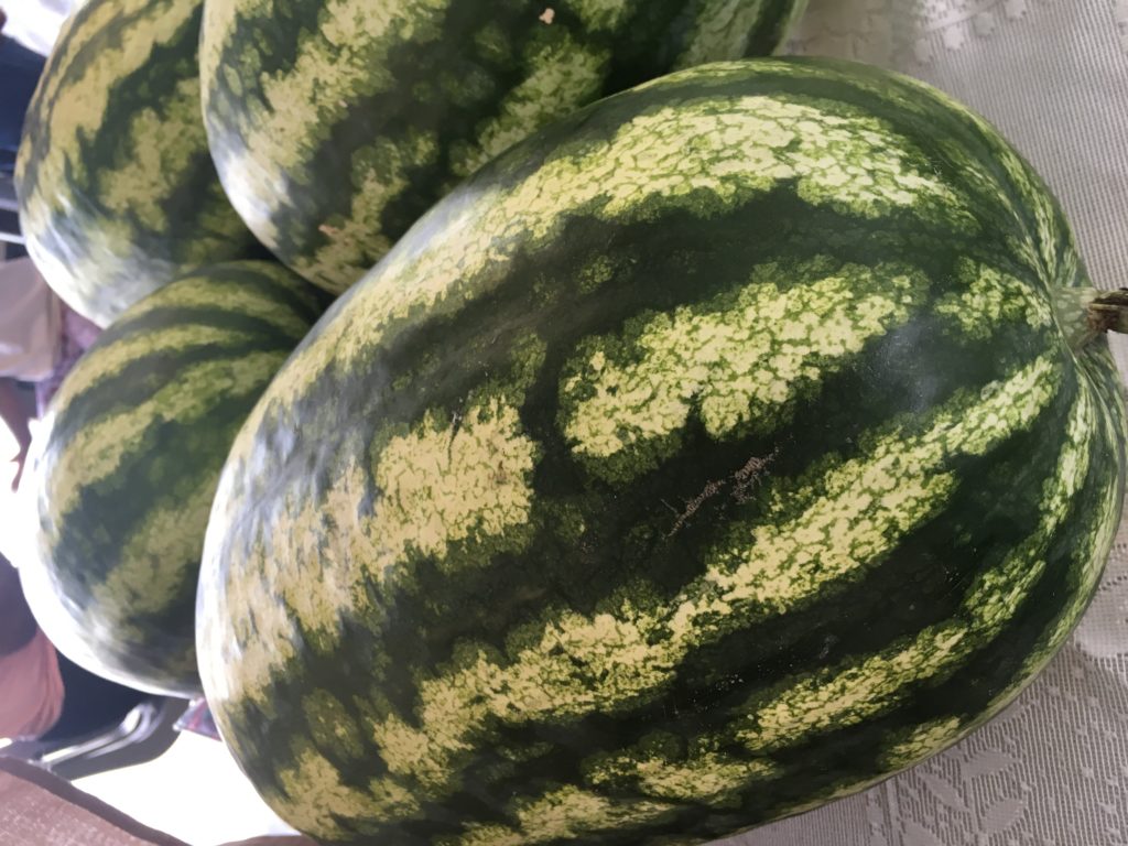 Watermelons at farmers market