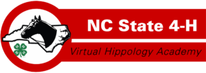 Cover photo for NC 4-H Virtual Hippology Academy