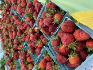 Strawberries at Farmers Market