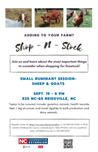 Cover photo for Shop-N-Stock Small Ruminant Session