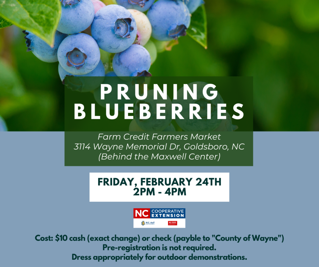 Pruning Blueberries Class-Feb. 24th 2023