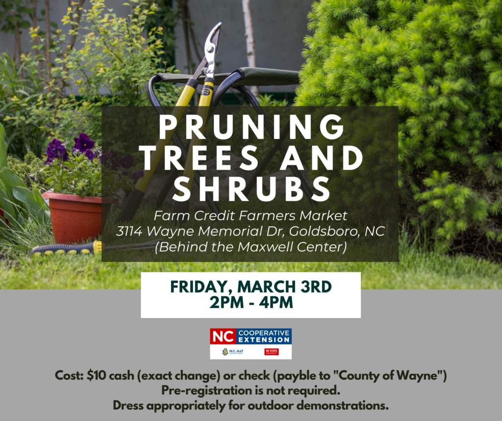 Trees & Shrubs -March 3rd