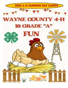 Cover photo for Wayne County 4-H Summer Day Camps 2023