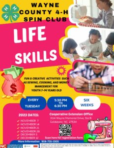 Cover photo for 4-H Spin Club-Life Skills 2023