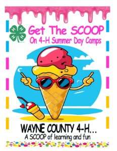 Cover photo for 4-H Summer Day Camps 2024