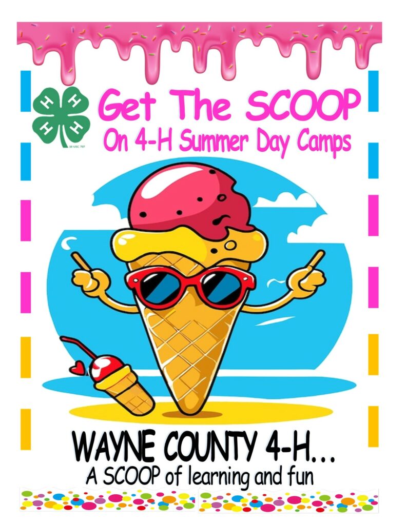 Get the SCOOP on 4-H Summer Day Camps