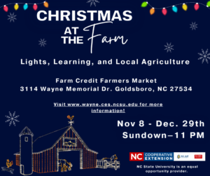 Cover photo for Goldsboro's New Holiday Tradition: Christmas at the Farm